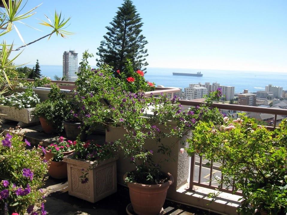 123 Ocean View Drive Apartment Cidade Do Cabo Exterior foto