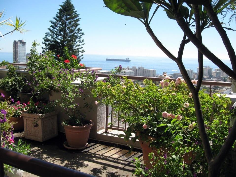 123 Ocean View Drive Apartment Cidade Do Cabo Exterior foto